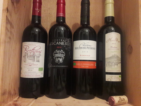 Dégustation vins bio de Bordeaux